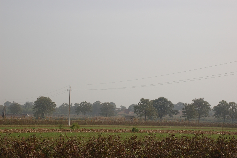 A scenic view of Yuncheng Xiyincun Site