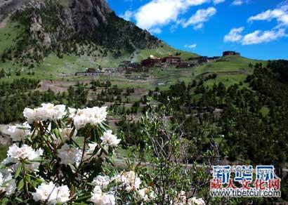 A scenic view of Yushu Gesaer Sanshi Dajiangjun Lingta He Danasi