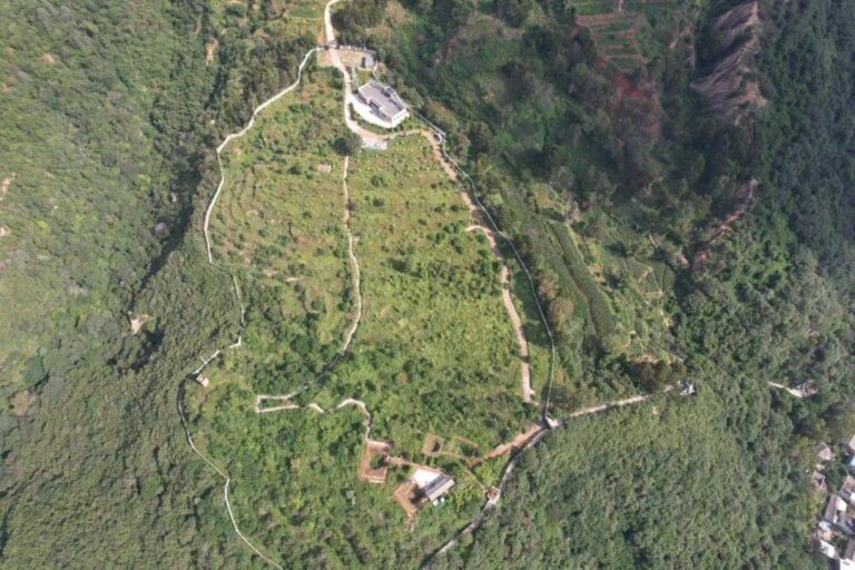 Unveil the Beauty of Lijiashan Gumuqun: Your Ultimate Yuxi Adventure Awaits