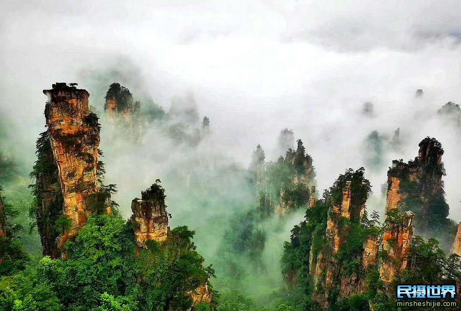 A scenic view of Zhangjiajie Qilonggang Gumuqun