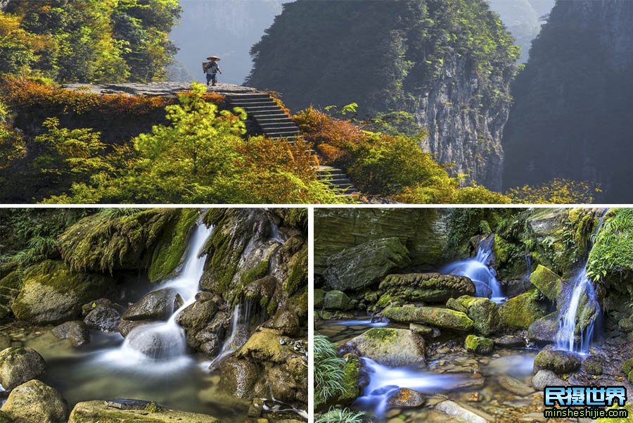A scenic view of Zhangjiajie Qilonggang Gumuqun