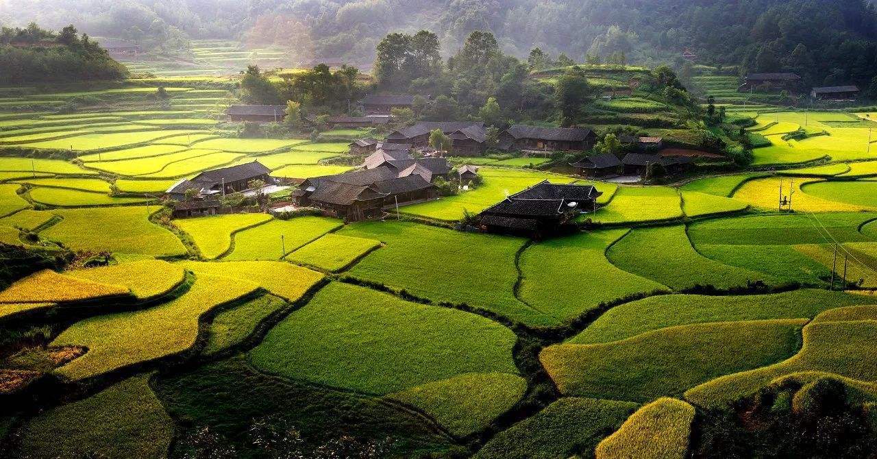 A scenic view of Zhangjiajie Shiyanping Gujianzhuqun