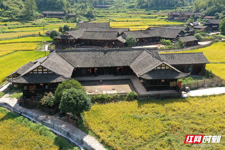 A scenic view of Zhangjiajie Shiyanping Gujianzhuqun
