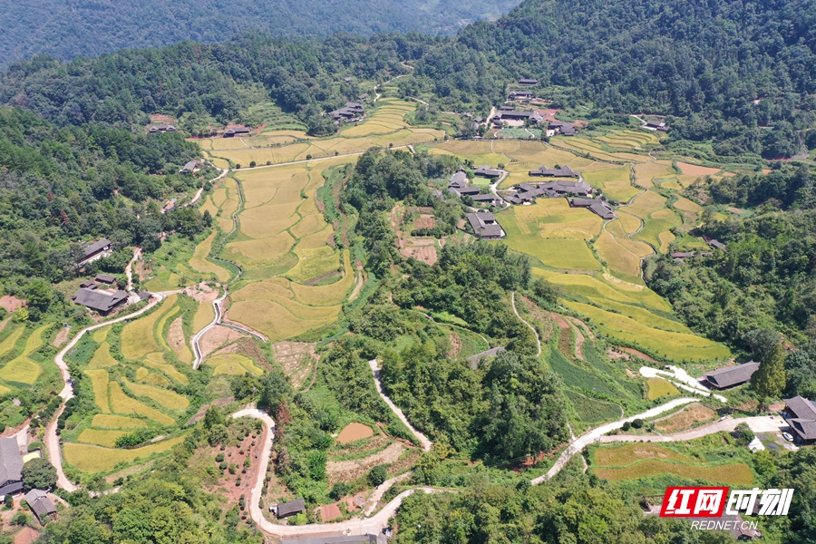 A scenic view of Zhangjiajie Shiyanping Gujianzhuqun