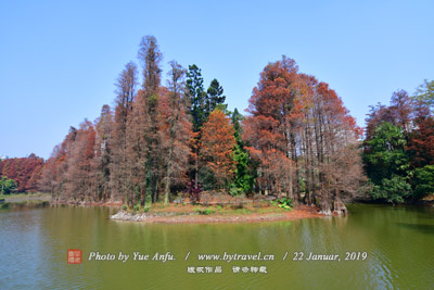 A scenic view of Zhangzhou Dongshan Shushou Taiwan Jiangshi Muqun