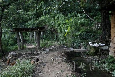 A scenic view of Zhangzhou Nansheng Yaozhi