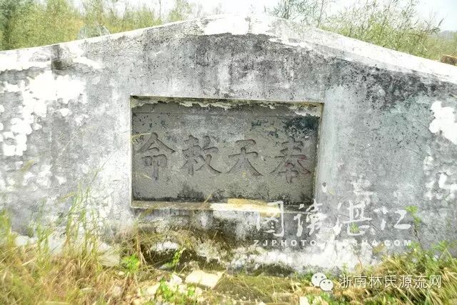 A scenic view of Zhanjiang Tangshi Muqun