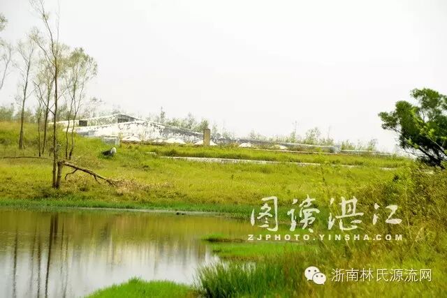A scenic view of Zhanjiang Tangshi Muqun