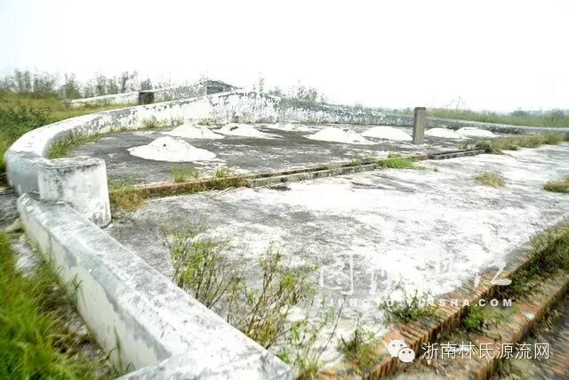A scenic view of Zhanjiang Tangshi Muqun