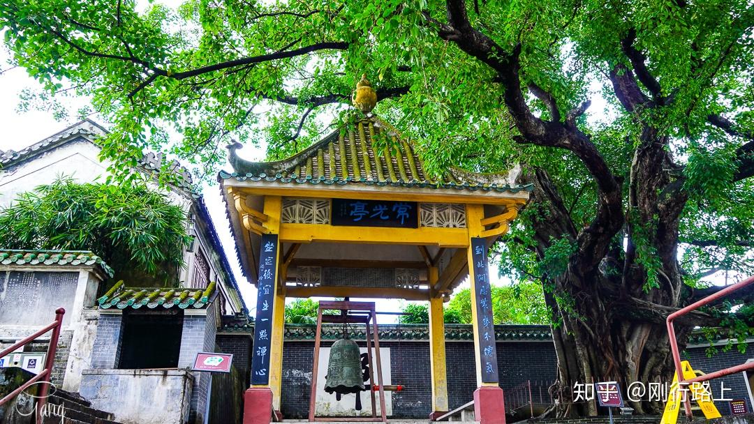 A scenic view of Zhaoqing Meian