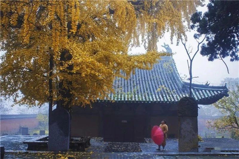 A scenic view of Zhengzhou Chuzhuanjishaolinsitalin