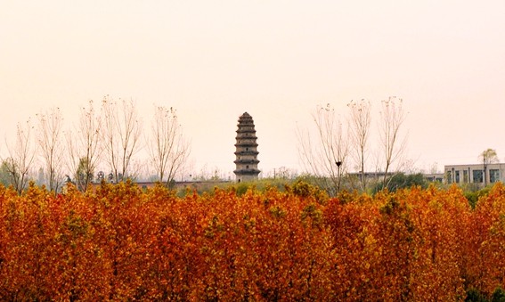 A scenic view of Zhengzhou Fengtaisita