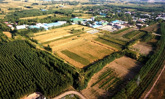 A scenic view of Zhengzhou Huayanggucheng