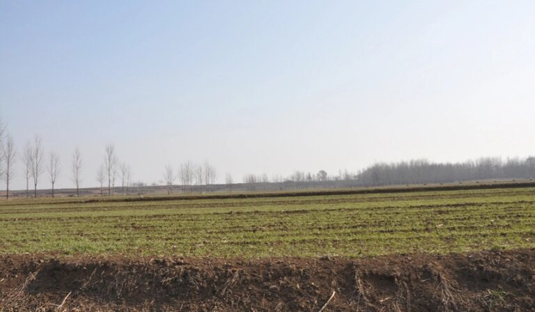 Experience the Charm of Zhengzhou Nanwayizhi: A Must-Visit Destination in Henan