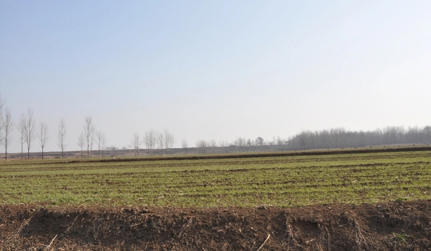A scenic view of Zhengzhou Nanwayizhi