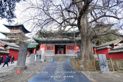 A scenic view of Zhengzhou Qinwangzhaiyizhi