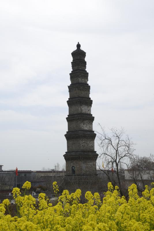 A scenic view of Zhengzhou Shoushengshishuangta