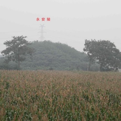 A scenic view of Zhengzhou Yongling Yonganling