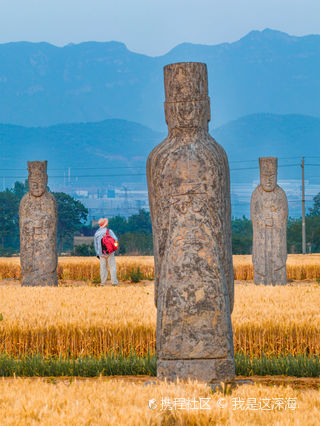 A scenic view of Zhengzhou Yongling Yongchangling