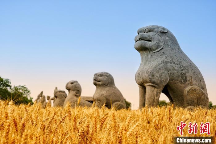 A scenic view of Zhengzhou Yongling Yonghouling