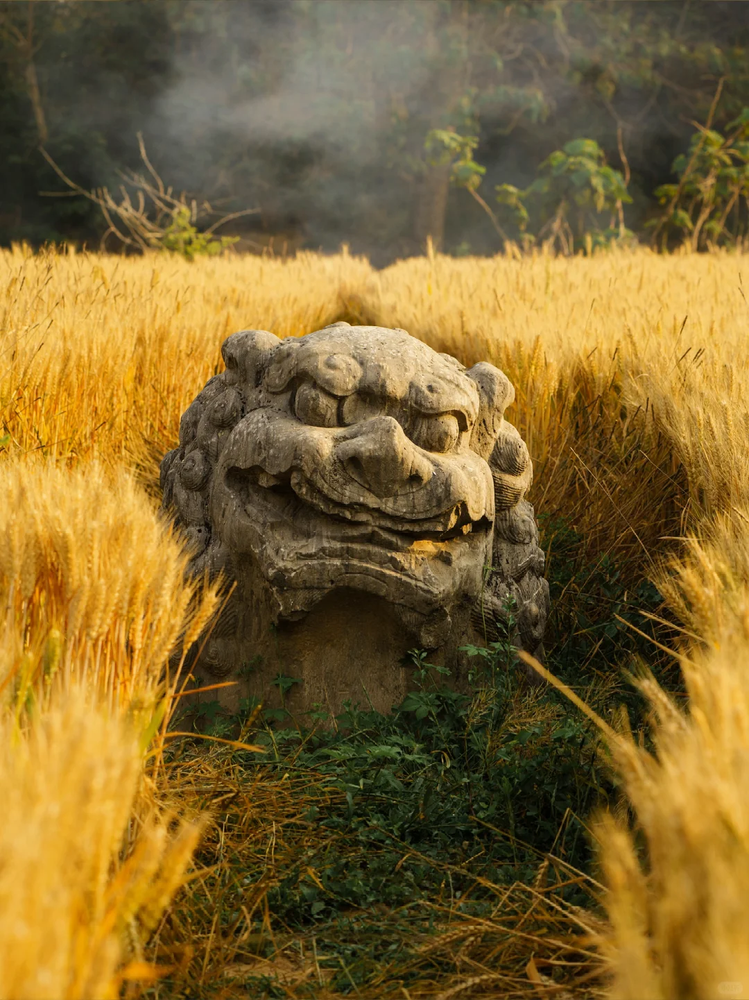A scenic view of Zhengzhou Yongling Yongtailing