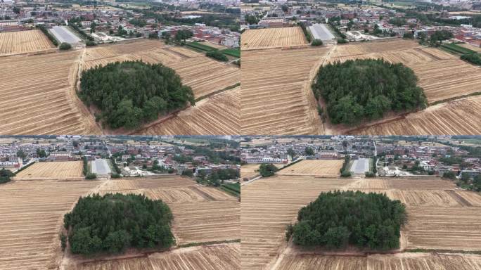A scenic view of Zhengzhou Yongling Yongxiling