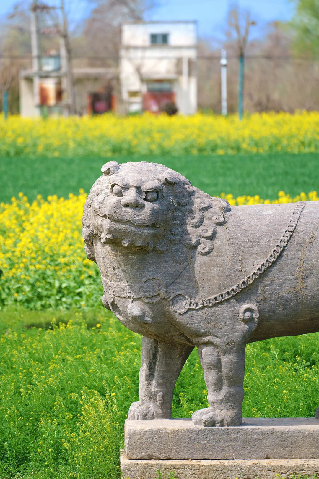 A scenic view of Zhengzhou Yongling Yongyuling