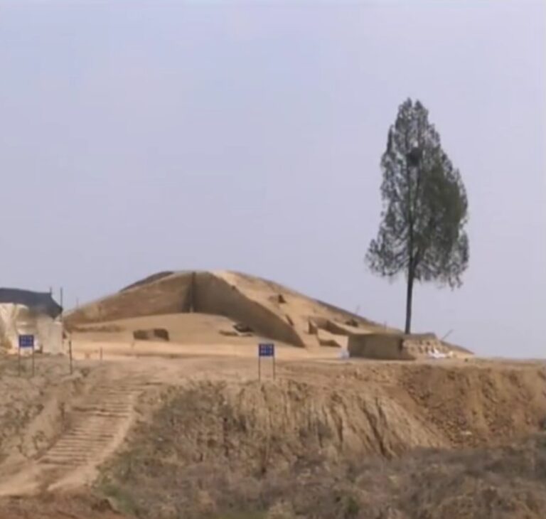 A Journey Through Zhenjiang Chuncheng Tudun Muqun: Discovering Local Traditions and Flavors