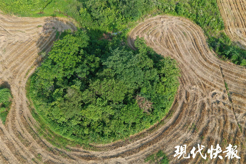 A scenic view of Zhenjiang Chuncheng Tudun Muqun