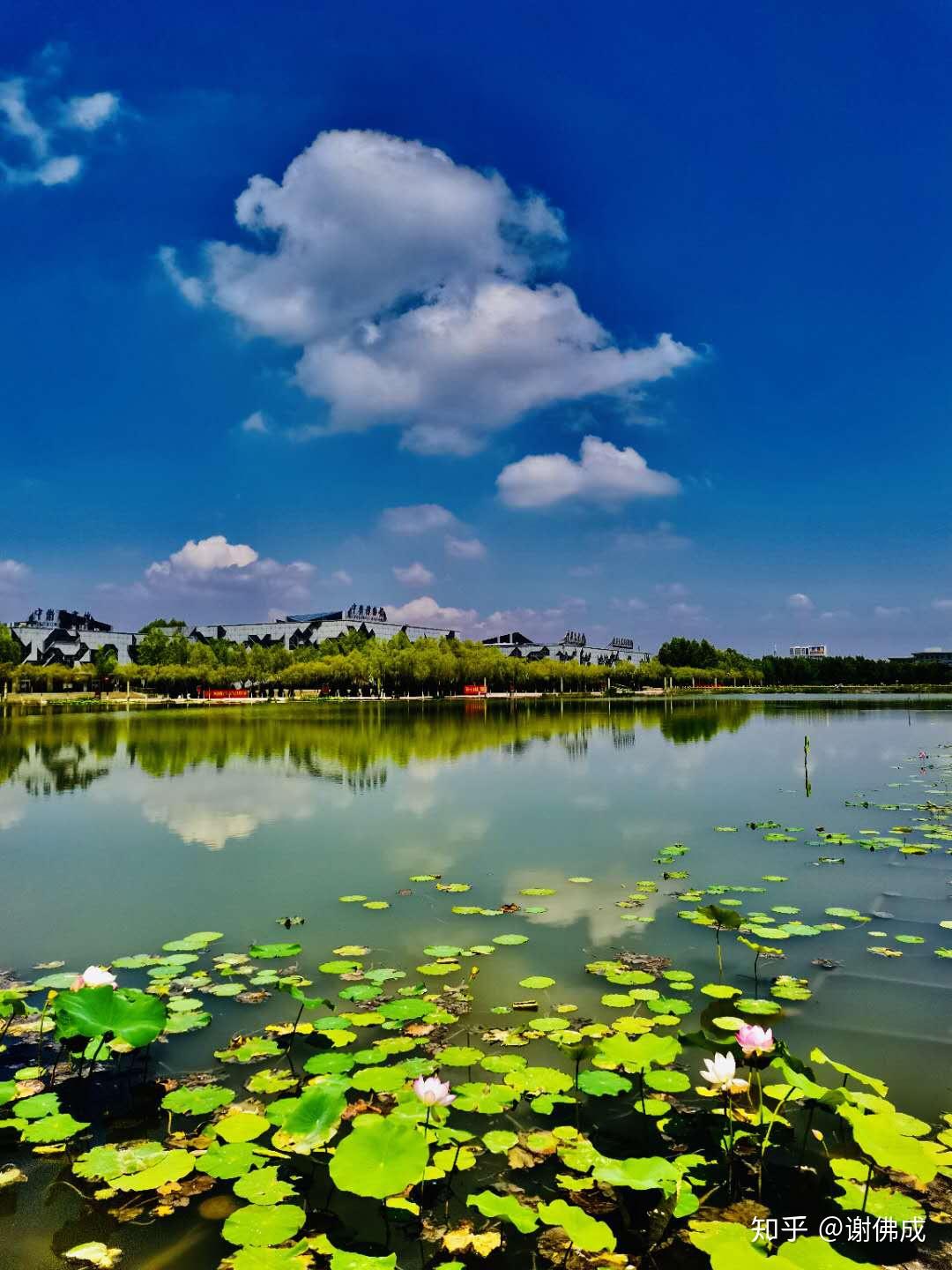 A scenic view of Zhongwei Caiyuan Yizhi