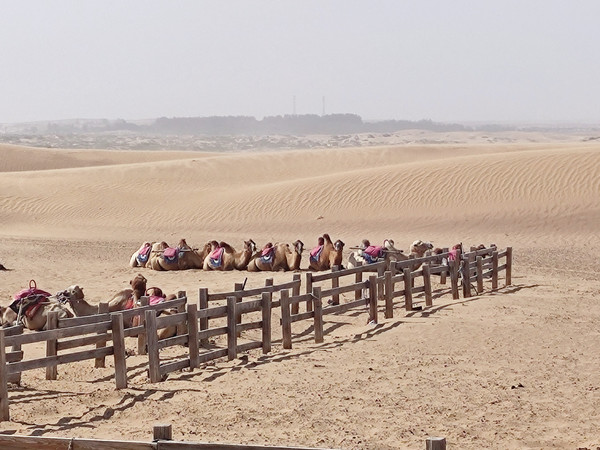 A scenic view of Zhongwei Mingshazhou Ta