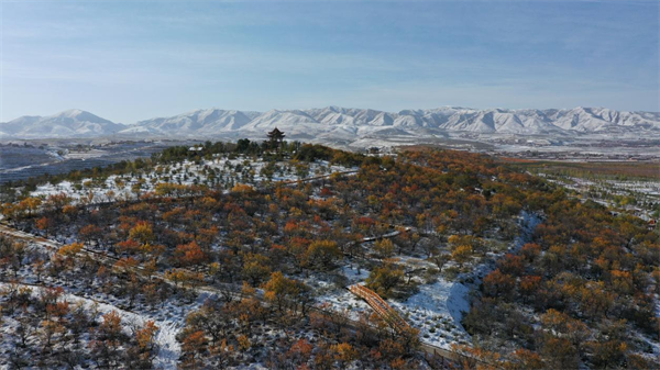 A scenic view of Zhongwei Mingshazhou Ta