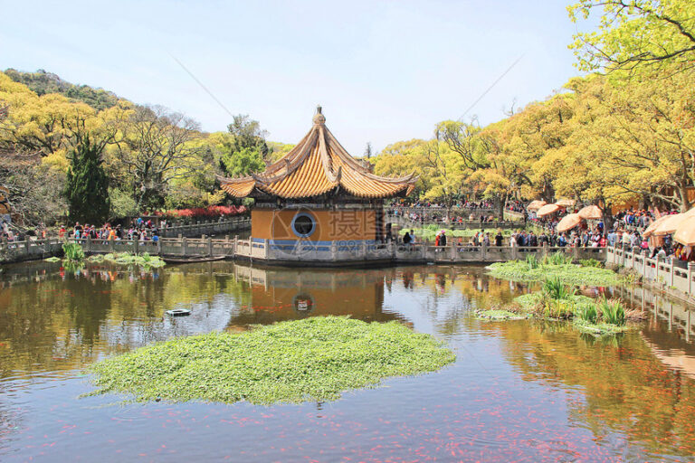 A Cultural Odyssey: The Significance of Puji Si on Zhoushan’s Putuoshan Island
