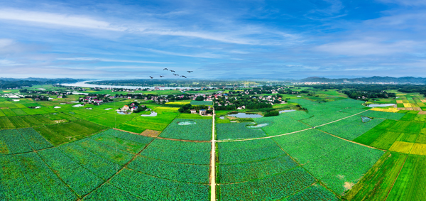 A scenic view of Zhuzhou Moshan Yizhi
